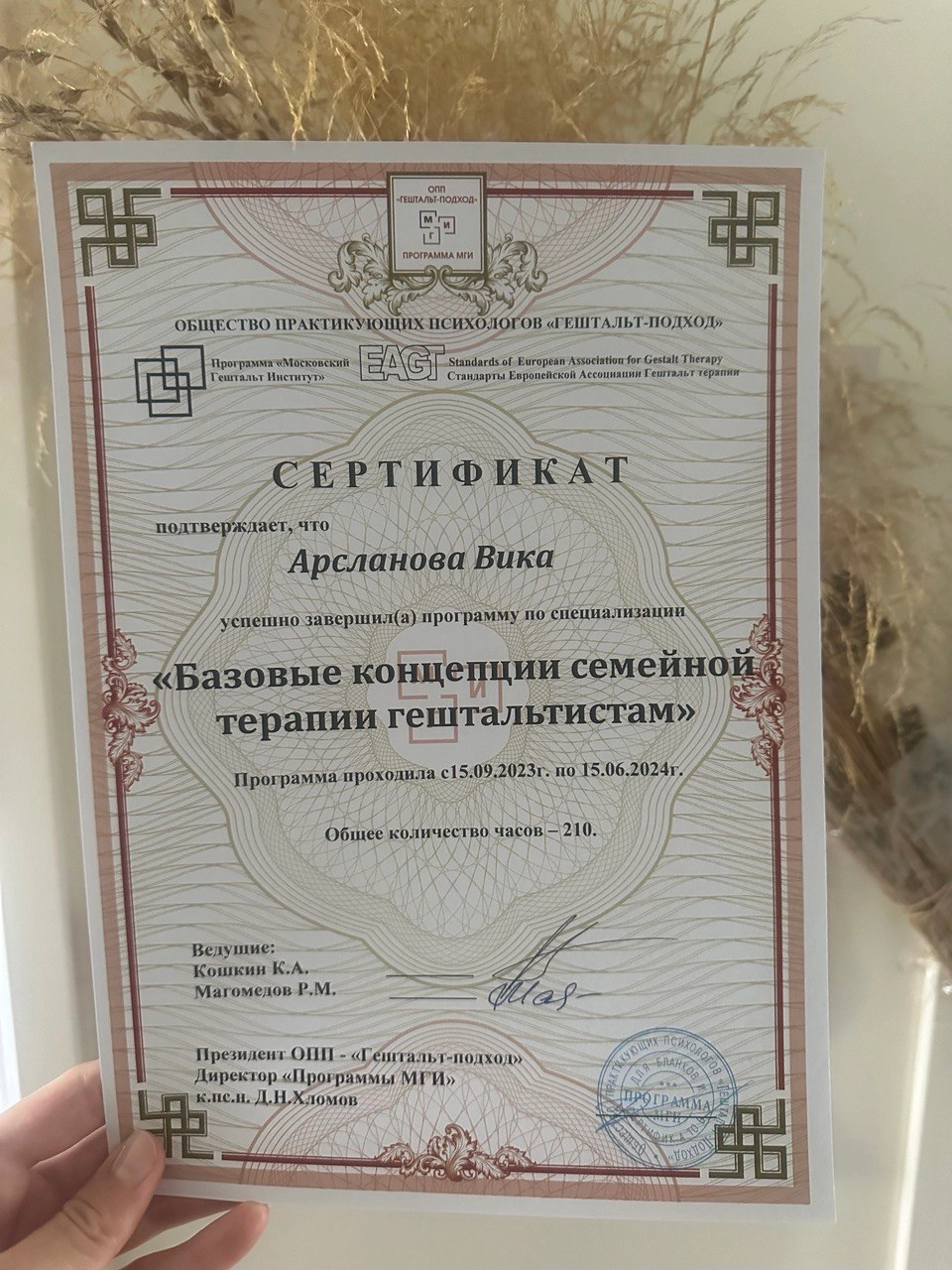 Сертификат об окончании профильной специализации "Базовые концепции семейной концепции гештальтистам", 2024 год.